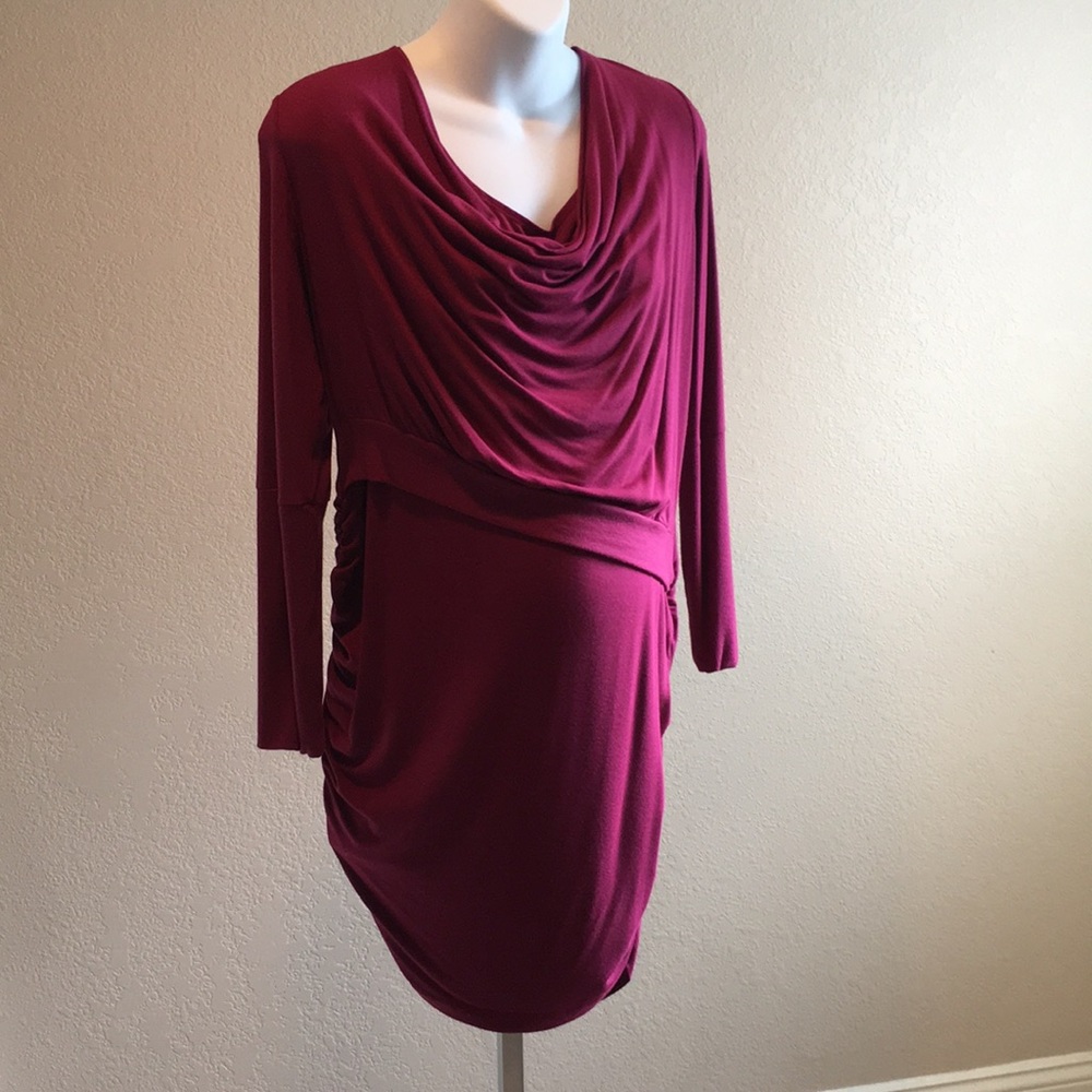 Maternity Hugaboo Dress